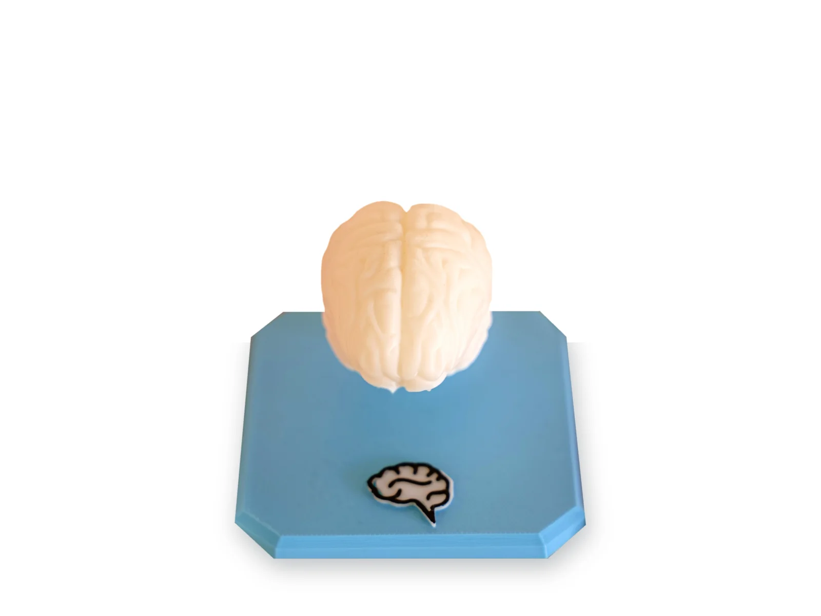 Brain Collectible