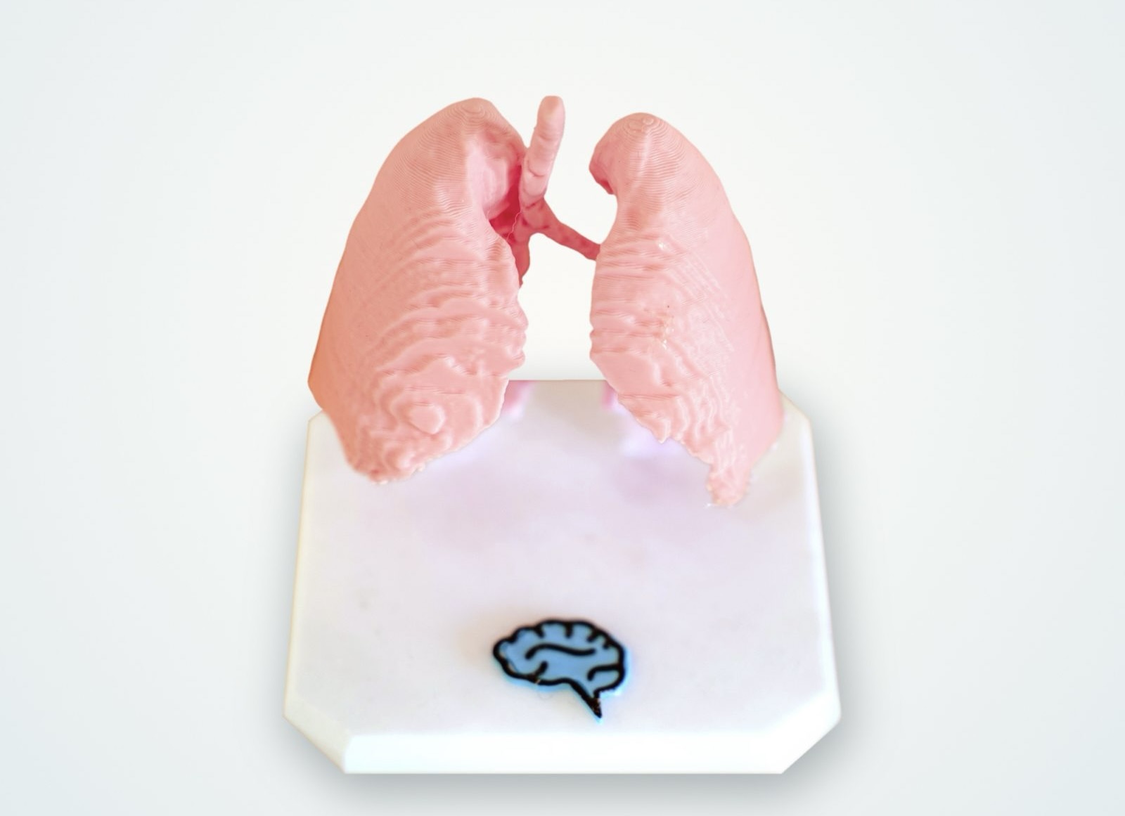 Medical collectible 02