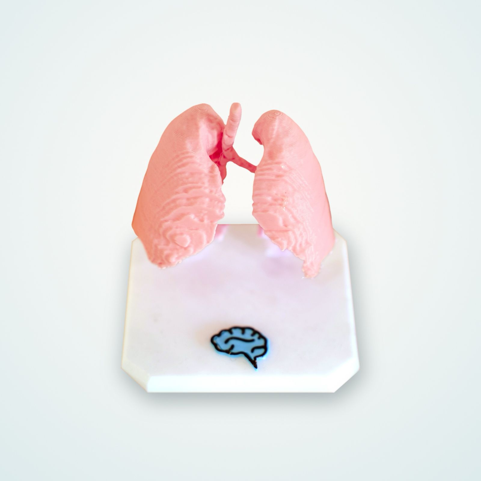 Medical collectible 02