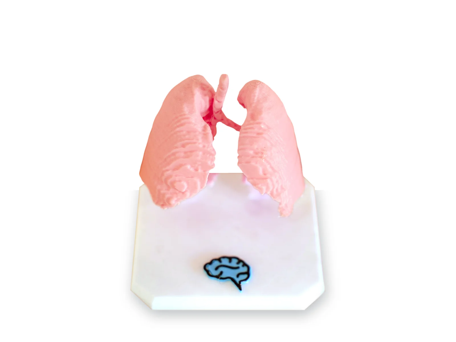 Lung Collectible
